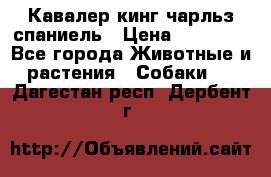 Кавалер кинг чарльз спаниель › Цена ­ 40 000 - Все города Животные и растения » Собаки   . Дагестан респ.,Дербент г.